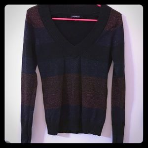 Metallic stripped Express sweater (S)